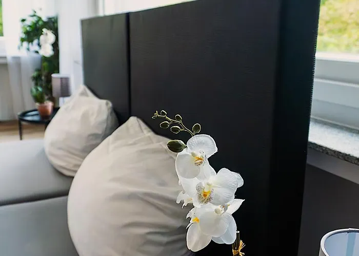 Liro Oberstrasse Muelheim 鲁尔河畔米尔海姆